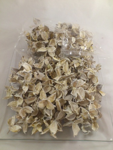 Cotton pods 250 gr. white-wash